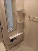 同仕様 ソレアード・ポールⅡ