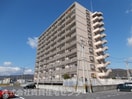  グリーンヒル波分