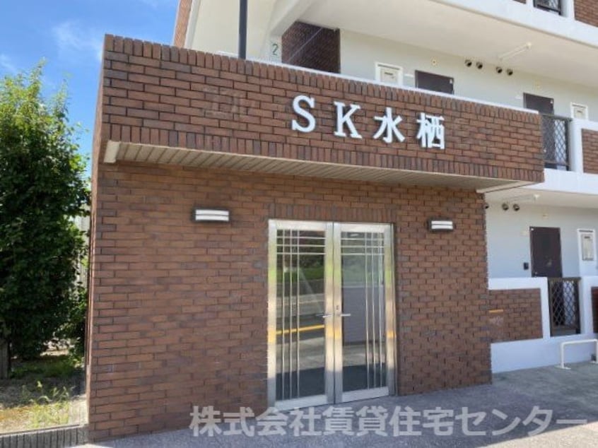  SK水栖