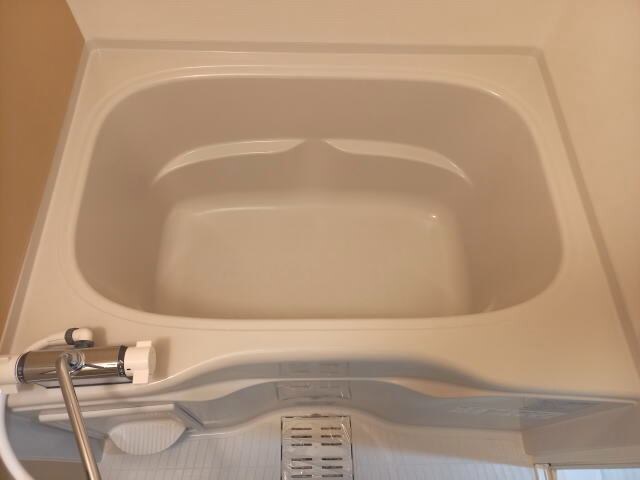 同仕様 南海本線/和歌山市駅 徒歩4分 3階 築2年