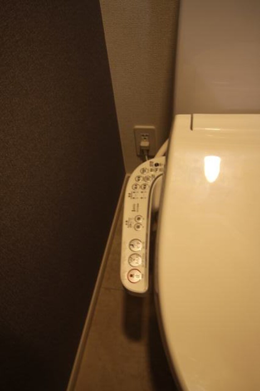 同仕様 クレメント紀州