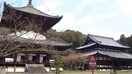 根来寺様 2893m ヴィラ・サンライズＢ ＳＯＵＴＨ