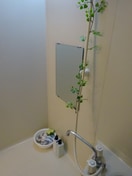  ソレイユ・オーミ