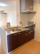 同仕様 アネックス日前