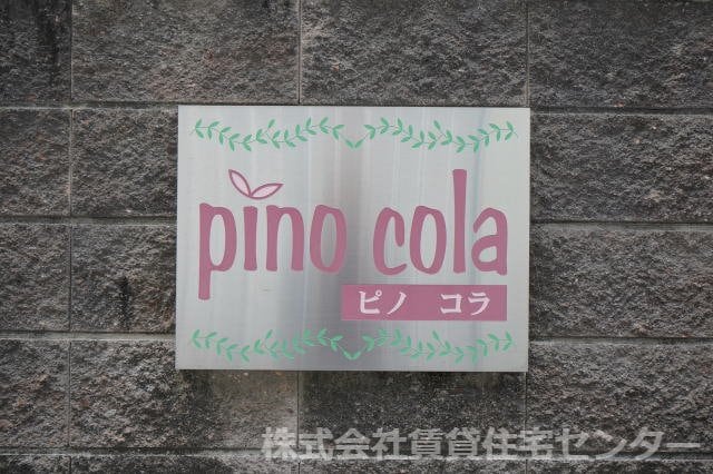  ピノ コラ