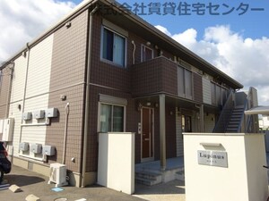 ルピナス