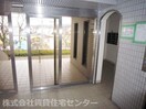  グリーンヒル波分