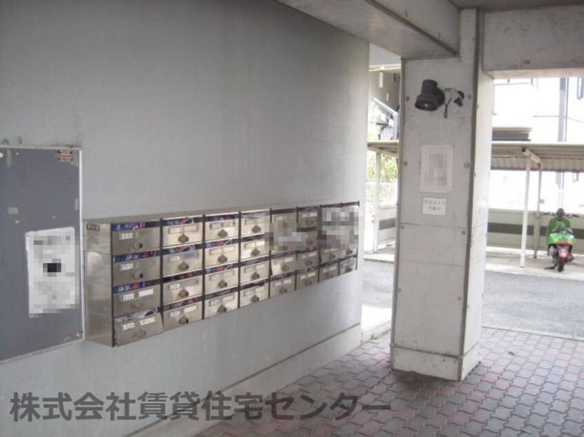  グリーンフルいがみ