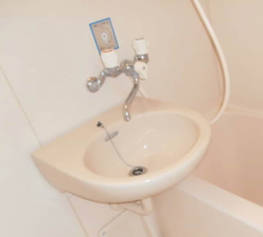 同仕様 グリーンフルいがみ