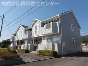 パノラ・クーボ