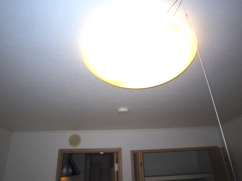  和歌山線/岩出駅 バス15分安上下車:停歩7分 2階 築17年