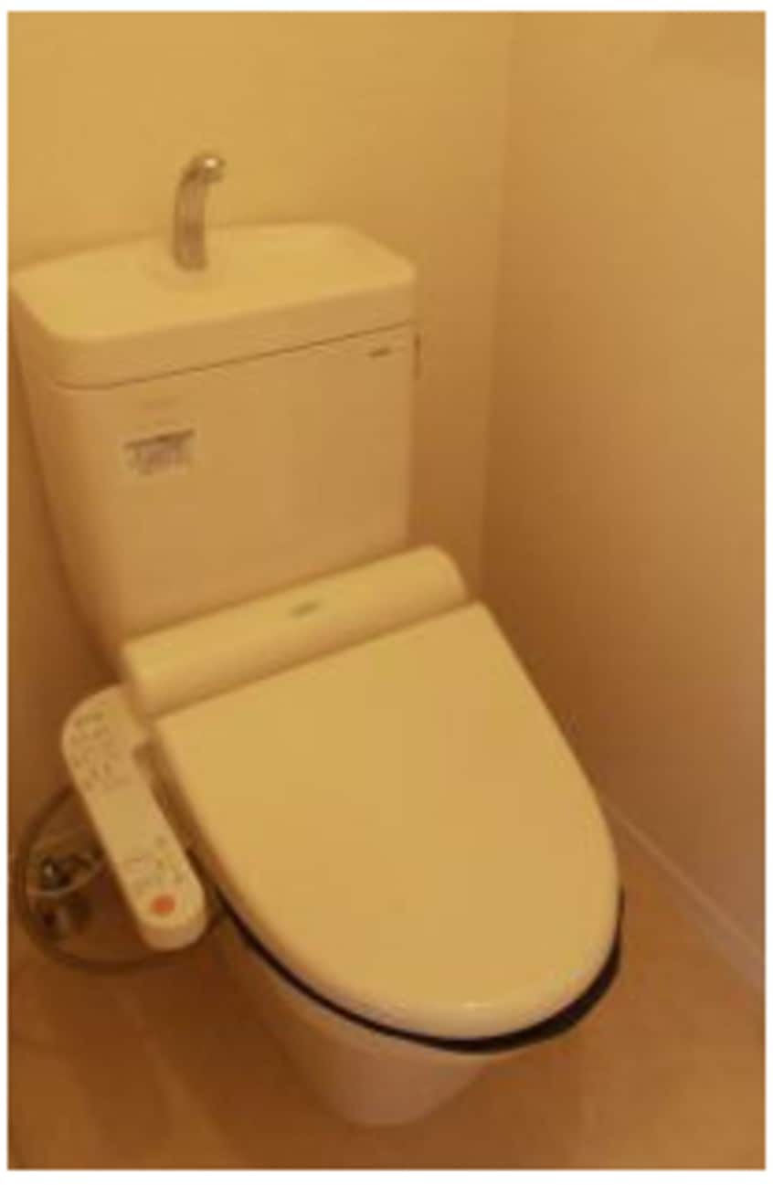 同仕様 シャーメゾンレープレ