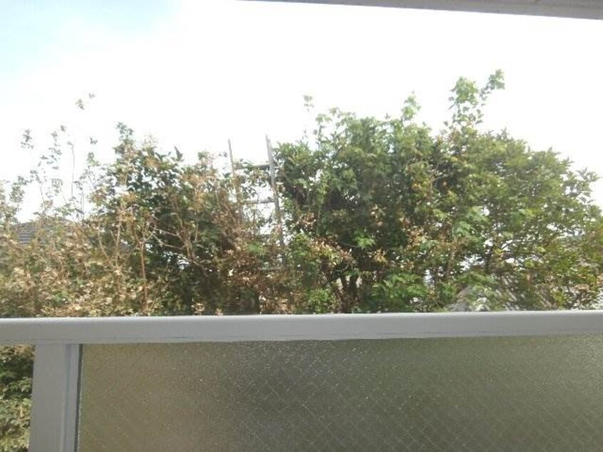  フォンテーヌブロー