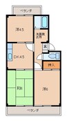 エレガントハイツ岩出 3DKの間取り