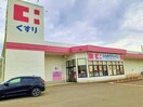 ココカラファイン桃山店様(ドラッグストア)まで2375m シャローム