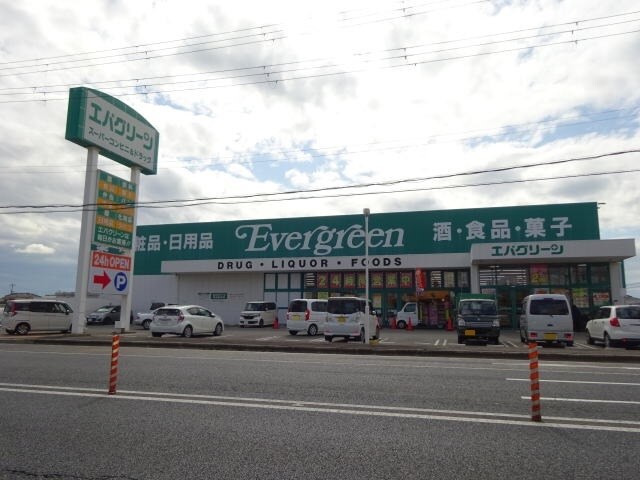 エバグリーン 紀三井寺店様(ドラッグストア)まで1097m きのくに線・紀勢本線/黒江駅 徒歩21分 1階 築11年