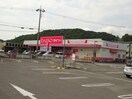 ダイソー和歌山西ノ庄店様まで235m 南海加太線/二里ケ浜駅 徒歩11分 2階 1年未満