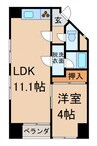 アダージョ 1LDKの間取り