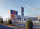 TSUTAYA WAY 岩出店様(本屋)まで231m 和歌山線/岩出駅 徒歩23分 2階 築32年