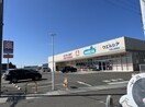 ウエルシア 和歌山栗栖店様(ドラッグストア)まで1081m 和歌山線/田井ノ瀬駅 徒歩4分 1階 築17年