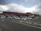 松源和歌山インター店様(スーパー)まで2006m 和歌山線/田井ノ瀬駅 徒歩11分 1階 築11年