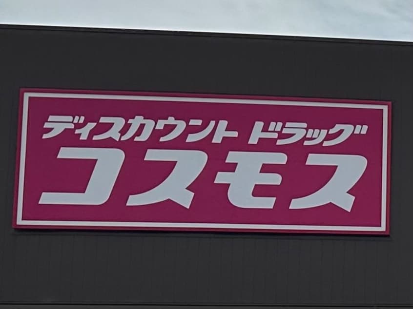 ドラッグストアコスモス 岩出西野店様(ドラッグストア)まで1314m 和歌山線/岩出駅 バス10分高塚井ノ上下車:停歩6分 2階 築17年