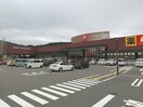 松源 橋本林間店様(スーパー)まで758m 南海高野線/林間田園都市駅 徒歩9分 2階 築18年