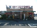 コメダ珈琲店和歌山大谷店様(カフェ)まで1862m 阪和線・羽衣線/六十谷駅 徒歩16分 1階 築17年