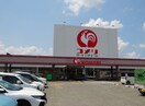 コメリハード＆グリーン 貴志川店様(電気量販店/ホームセンター)まで765m 和歌山電鉄貴志川線/貴志駅 徒歩7分 2階 築22年