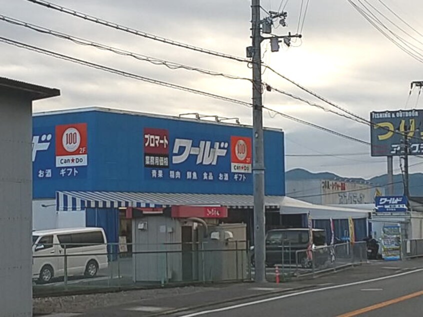 プロマートワールド 橋本店様(スーパー)まで344m 和歌山線/下兵庫駅 徒歩1分 1階 築18年