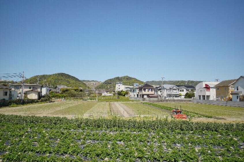  南海本線/紀ノ川駅 徒歩14分 1階 築5年