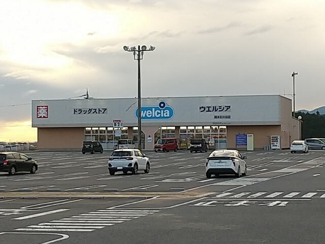 ウエルシア 橋本彩の台店様(ドラッグストア)まで1175m 和歌山線/下兵庫駅 徒歩19分 2階 1年未満