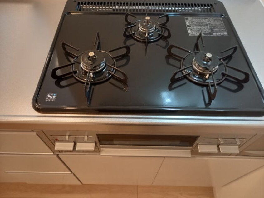 同仕様 和歌山線/岩出駅 バス15分さぎのせ公園下車:停歩6分 2階 建築中