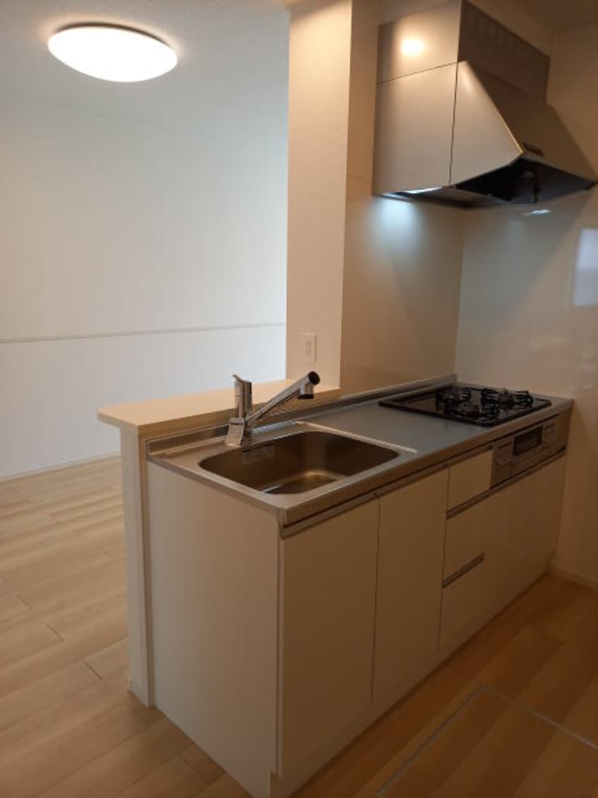 同仕様 和歌山線/布施屋駅 徒歩45分 1階 建築中