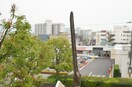  ヤマイチＰＬＡＺＡ　サンシティ広瀬
