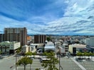  阪和線・羽衣線/和歌山駅 徒歩7分 8階 1年未満
