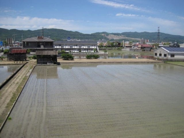  和歌山線/岩出駅 バス15分黒木下車:停歩10分 2階 築19年