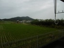  和歌山線/下井阪駅 徒歩19分 1階 築15年