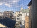  パインフィールド7