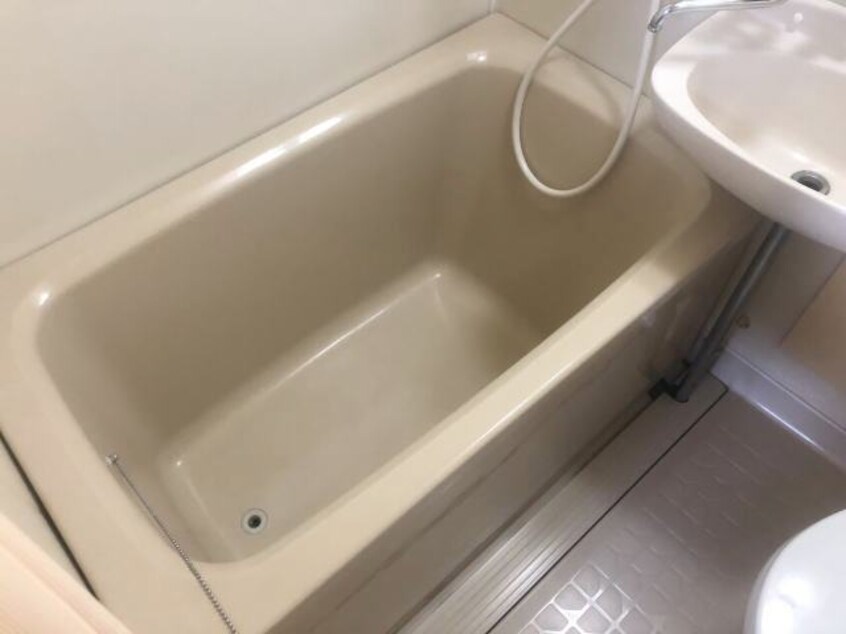  パインフィールド7