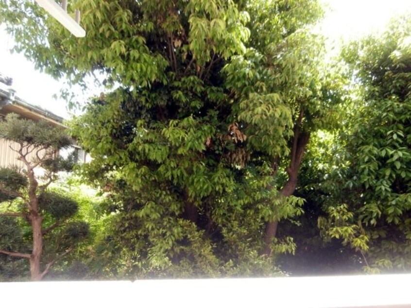  和歌山電鉄貴志川線/田中口駅 徒歩3分 2階 築7年