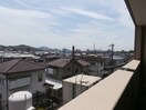  和歌山電鉄貴志川線/日前宮駅 徒歩20分 2階 築17年