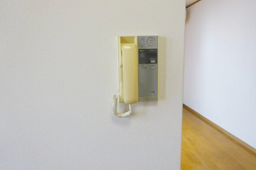 同仕様 パレ・フルール