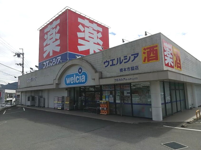 ウエルシア 橋本市脇店様(ドラッグストア)まで3286m 南海高野線/御幸辻駅 徒歩6分 1階 築20年