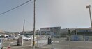 オークワ和歌山中之島店様(スーパー)まで426m 阪和線・羽衣線/和歌山駅 徒歩11分 2階 築10年