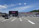 ディスカウントドラッグコスモス 神前店(ドラッグストア)まで198m 和歌山電鉄貴志川線/神前駅 徒歩5分 1階 築12年