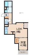 阪和線・羽衣線/和歌山駅 徒歩11分 1階 築浅 1LDKの間取り