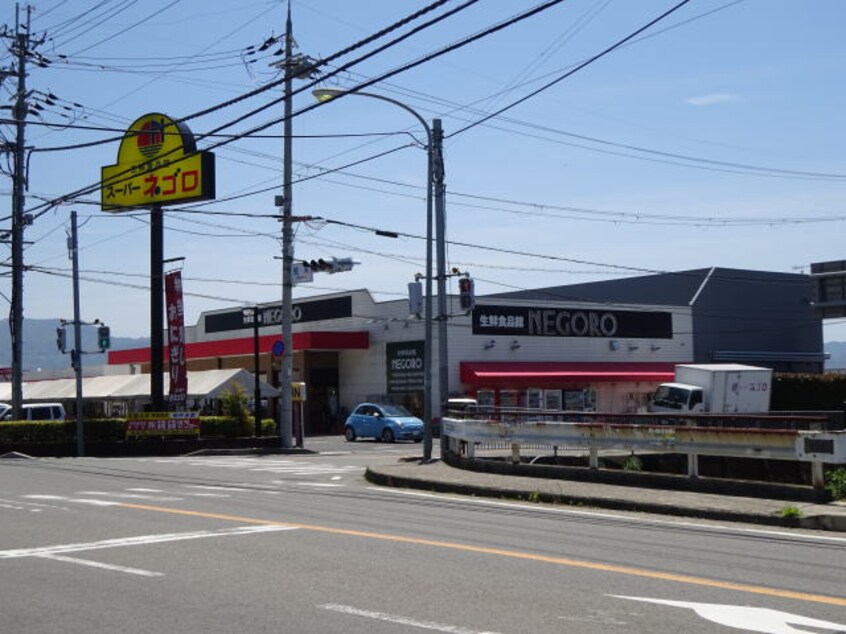 スーパーネゴロ様(スーパー)まで449m 和歌山線/岩出駅 バス20分桜台下車:停歩2分 2階 築12年