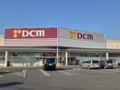 DCM 和歌山北バイパス店様(電気量販店/ホームセンター)まで814m 南海加太線/紀ノ川駅 徒歩12分 1階 築29年