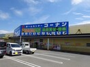 ホームセンターコーナンオーストリート紀の川店様(電気量販店/ホームセンター)まで1023m 和歌山線/下井阪駅 徒歩10分 1階 築16年
